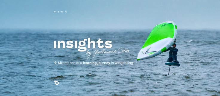INSIGHTS: MILESTONES OF A LEARNING JOURNEY WITH GUILLAUME COLIN