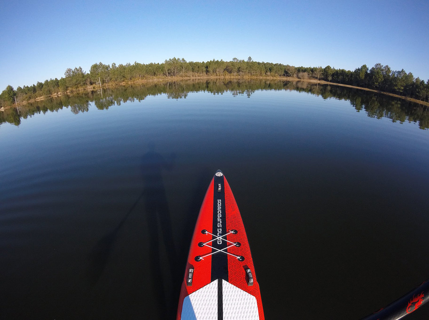GEAR : focus on Couine Marie race !!!