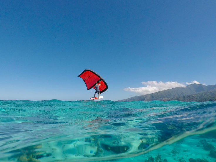 PHOTO : session Wing !!!