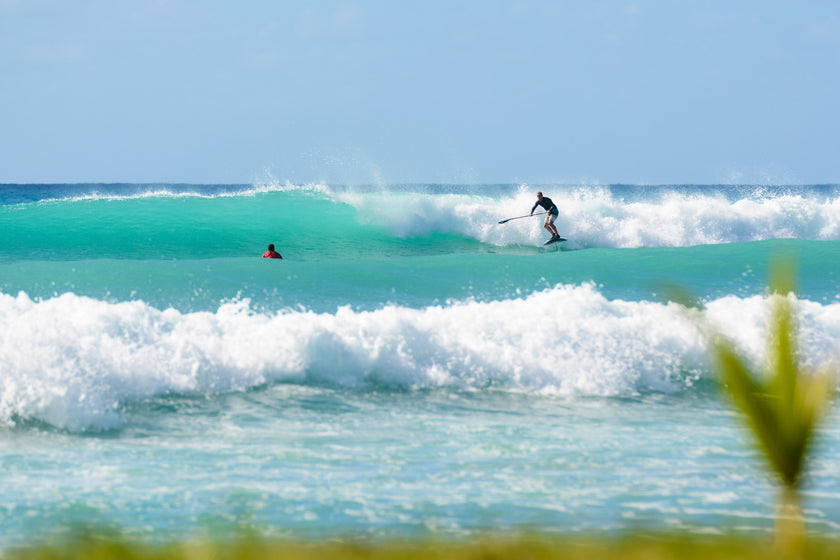 INTERVIEW : DU SUP AU SUP FOIL !!!