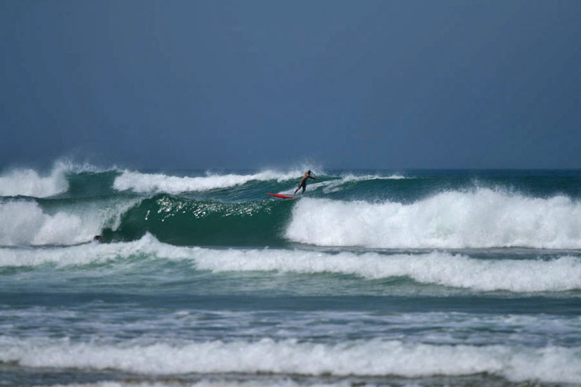 SESSION : la mousse