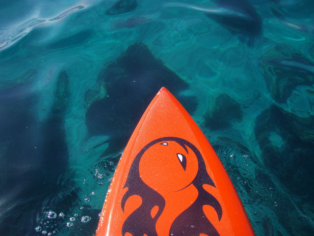SESSION : Family cruising on 12'