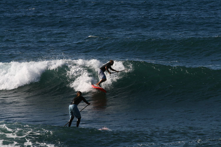 MOVE : huge slash back