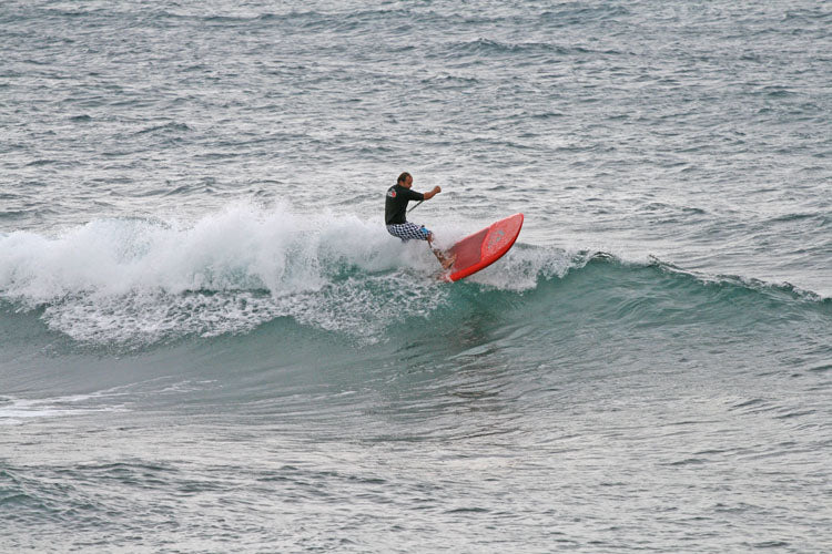 SESSION : windy bowl