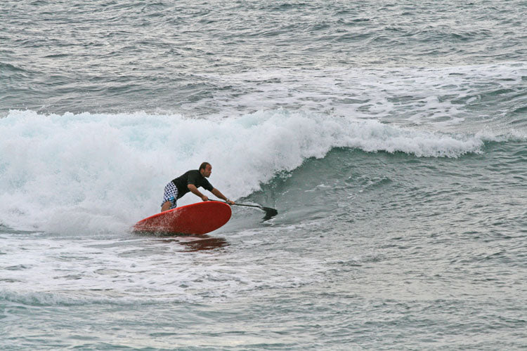 MOVE : big carving bottom