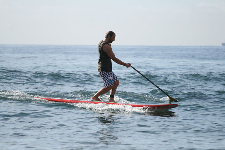 INFO : paddle weight