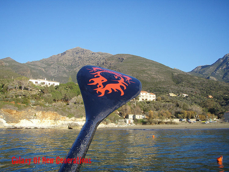 GEAR : new carbon SUP paddle GONG on holidays