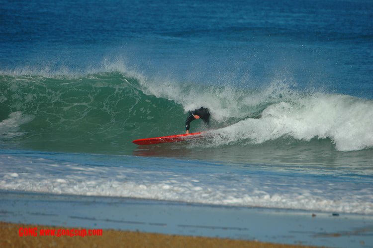 SESSION : PASC trip surf