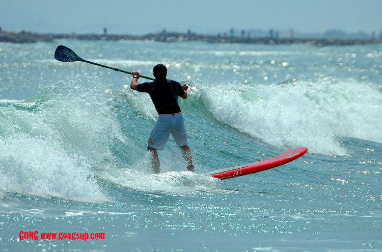 SESSION : Palawaii