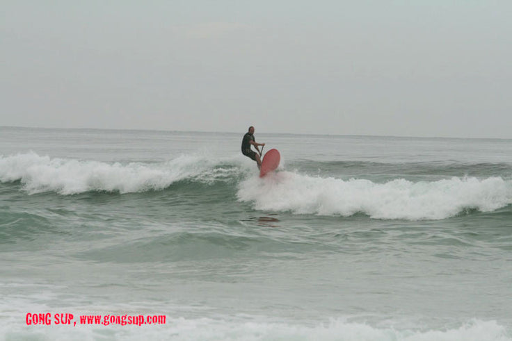 SESSION : woody place