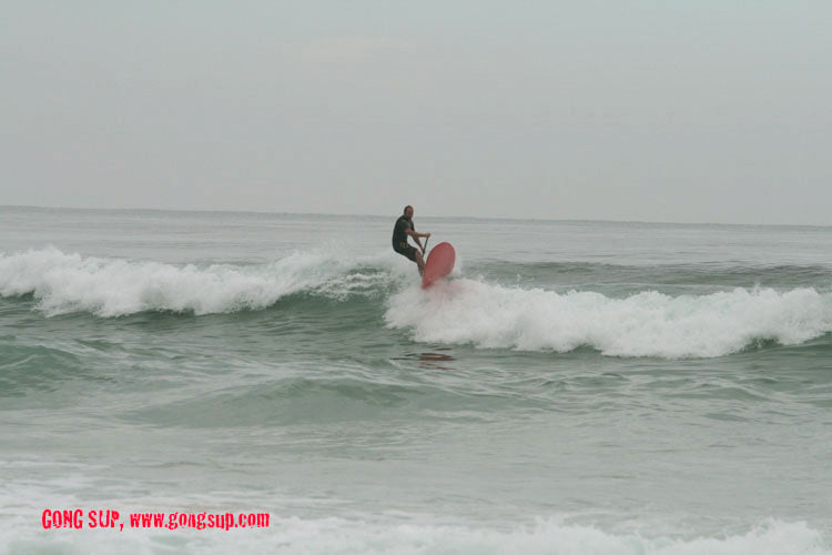 SESSION : woody place