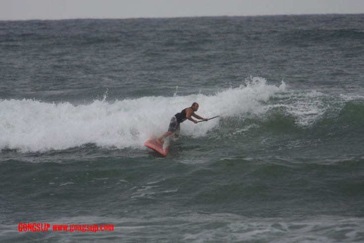 MOVE : cut back finish with the paddle