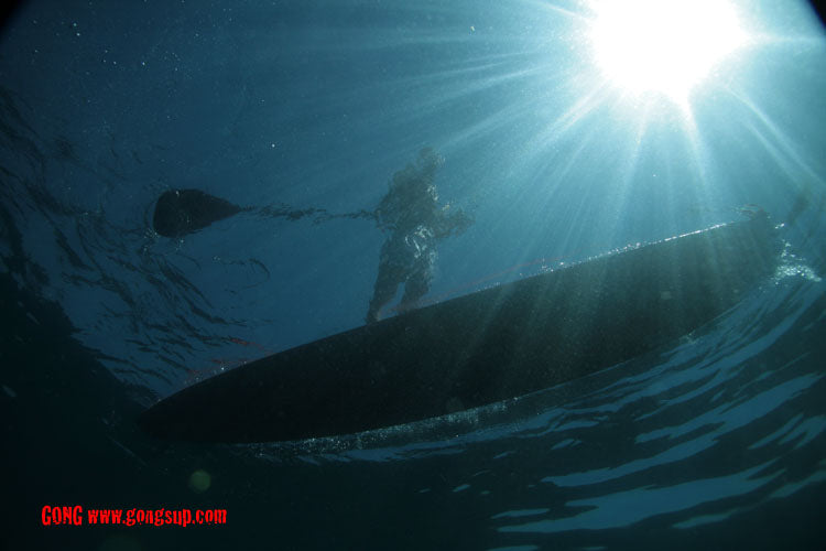 SESSION : underwater shoots