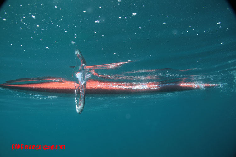 PHOTOS : paddle !