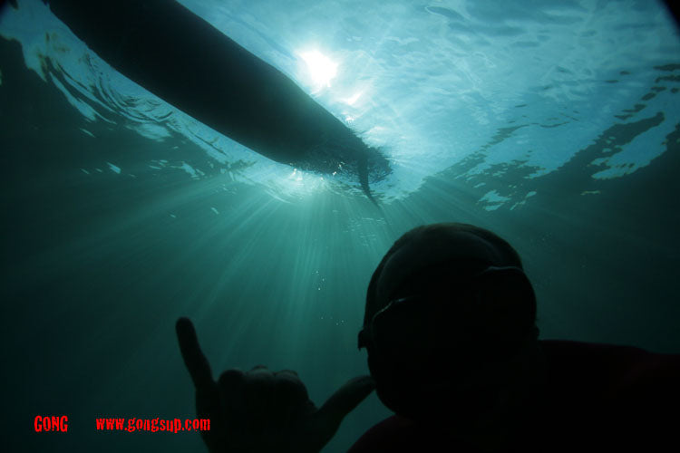 SESSION : SUP and dive !
