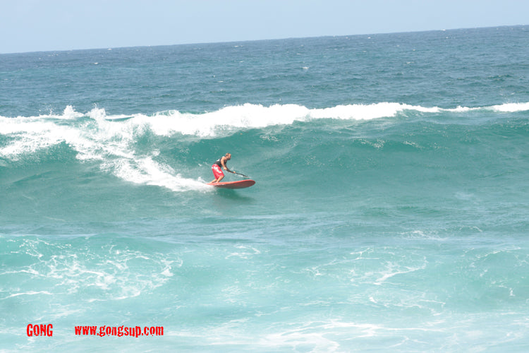 SESSION : good summer swell !