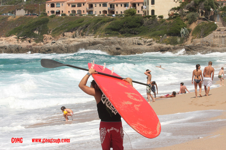 HOW TO : carry your board !!!