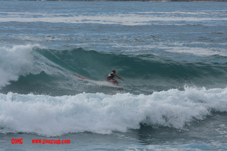 MOVE : searching the nose to barrel