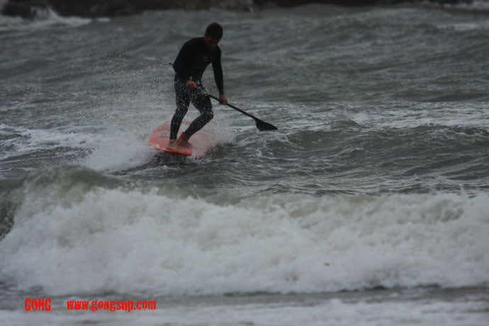 MOVE : blown by the wind !!!