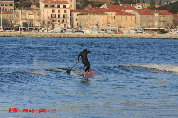 PHOTO : Zorro !!!
