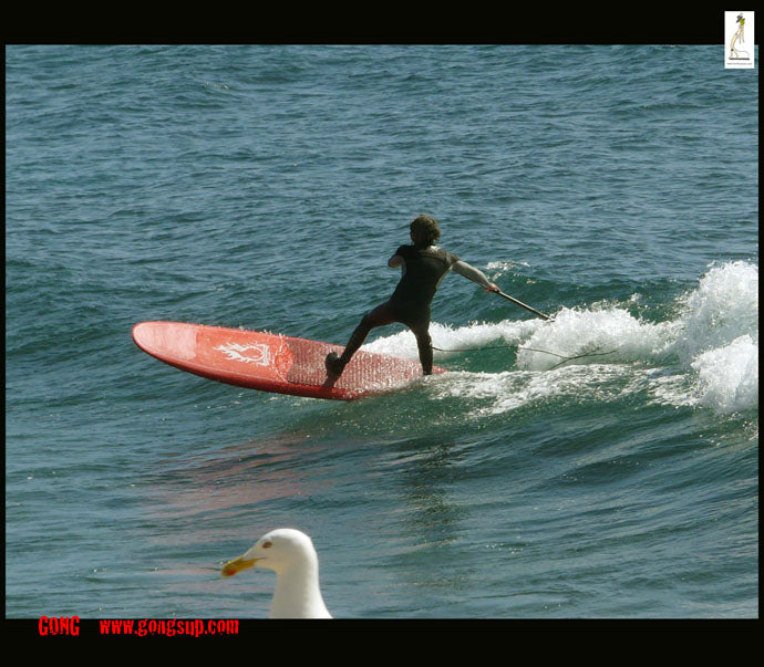 SESSION : Bo et les mouettes ;-)))