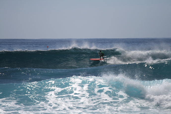 FORUM : GONG 12' Original Carve Neuve Proteck à 249 ?,? !!!!!