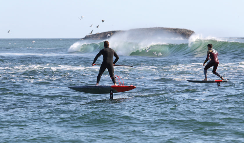 PHOTO : foils, oiseaux and barrels !!!