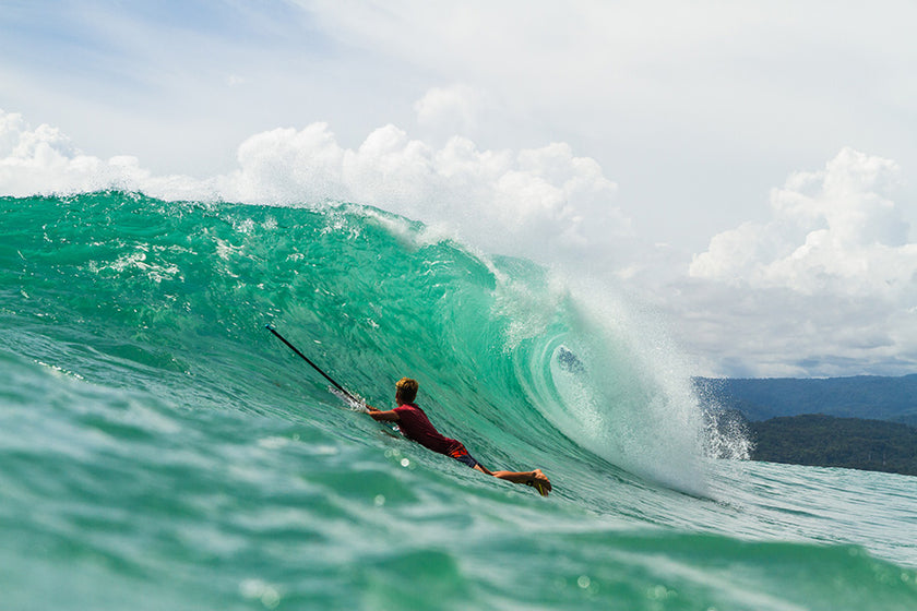 PHOTO : focused !!!
