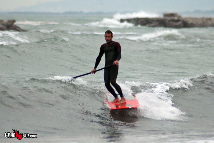 SESSION : South Swell