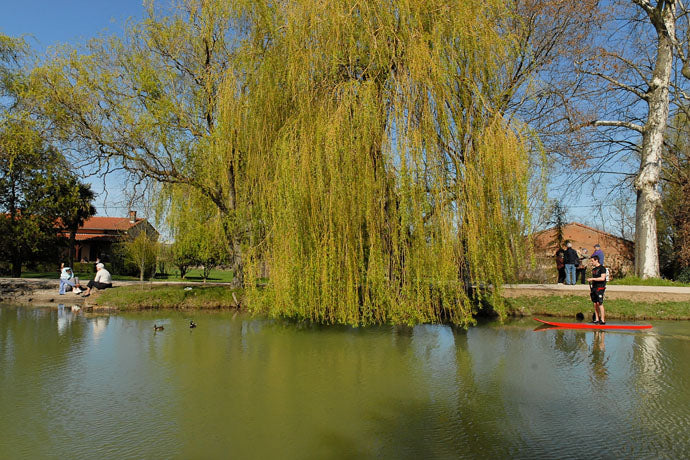 SESSION : Le Canal du Midi interdit aux SUPs ;-)))