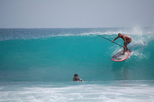 PHOTO : savoir viser !!!