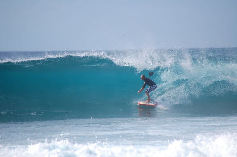 PHOTO : Mika à l'ombre !!!