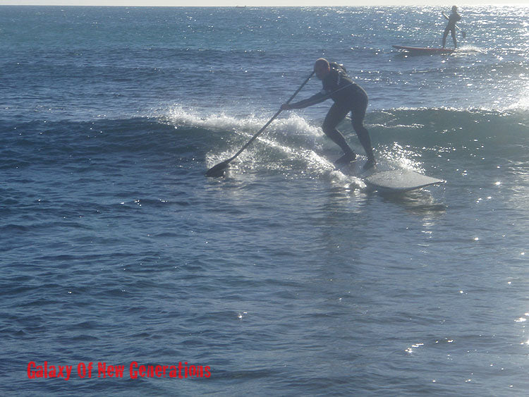 MOVE : bottom turn paddle switch