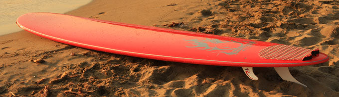 FOCUS : GONG 9'1 Pure Noserider at 399 ?,? available on line !!!