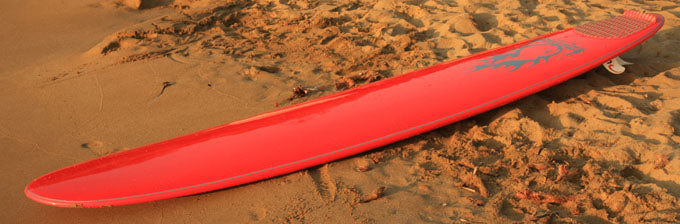 FOCUS : GONG 9'1 Pure Noserider at 399€ available on line !!!