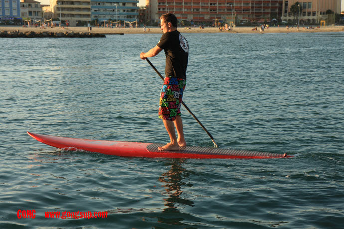 FOCUS : 11'9 GONG Crusader L available at 599€ !!!