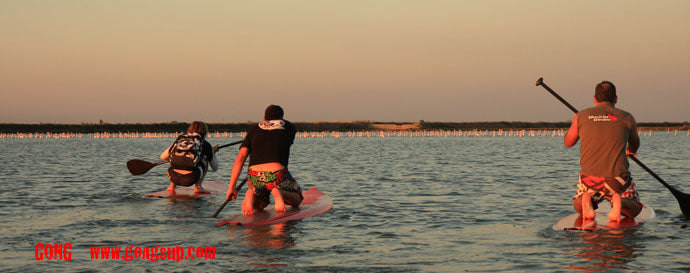 PHOTOS : pink floyds around SUPs !!!