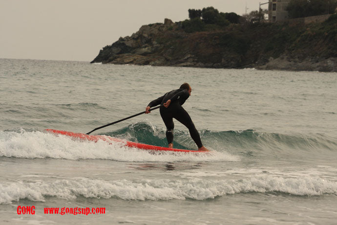 PHOTO : noseride paddle back on GONG Never Stick II :-O