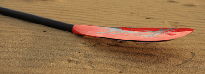 FOCUS : GONG Paddle Epoxy Floater at 79 ?,? available on line !!!