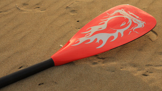 FOCUS : GONG Paddle Epoxy Floater at 79 ?,? available on line !!!