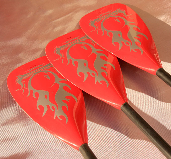 FOCUS : GONG Paddle Epoxy Floater at 79 ?,? available on line !!!