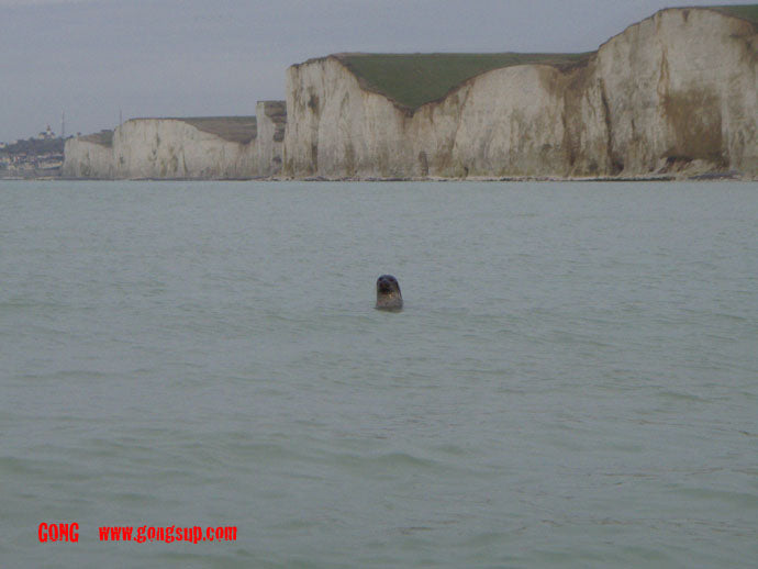 PHOTO : session animale dans la Manche !!!