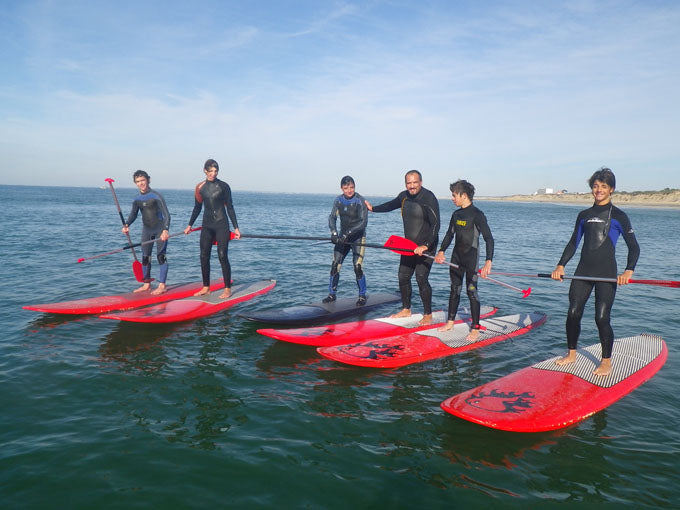 CLUB : Safari Surfing