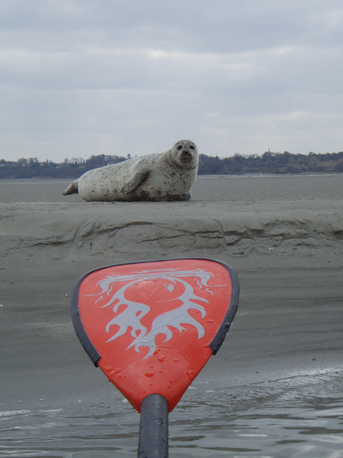 PHOTO : enjoy your SUP !!!