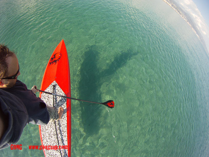 GEAR : paddle test with l'Ours !!!