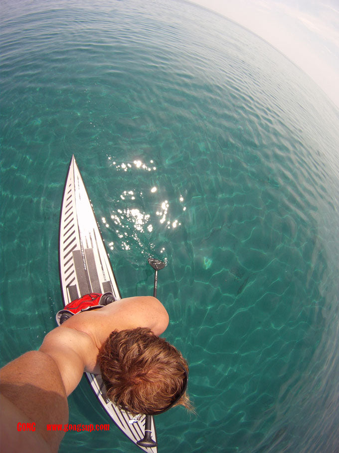 PHOTO : just cruising !!!