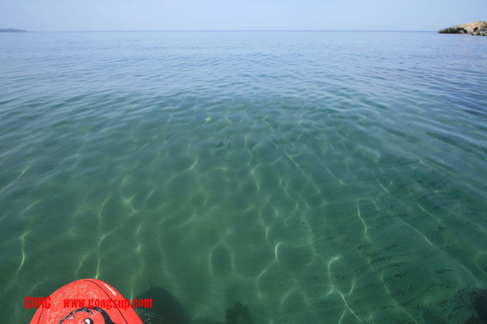 PHOTO : fish seen from SUP !!!
