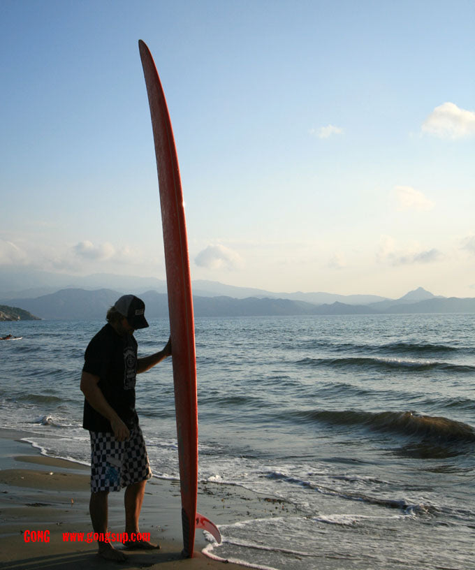 FOCUS : GONG 12' Infinite Glide at 399€ available on line !!!