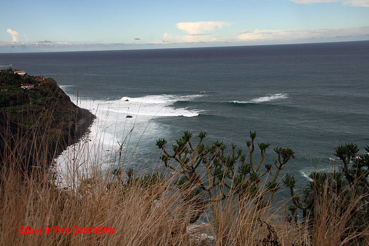 TRIP : Canarias III
