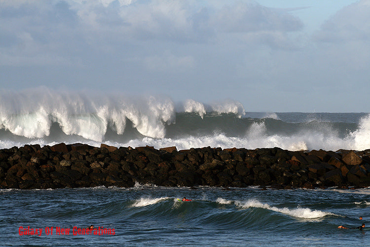 TRIP : Canarias V